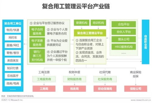 2021年博尔捷数字科技行业研究报告 数字技术服务的新机遇与挑战